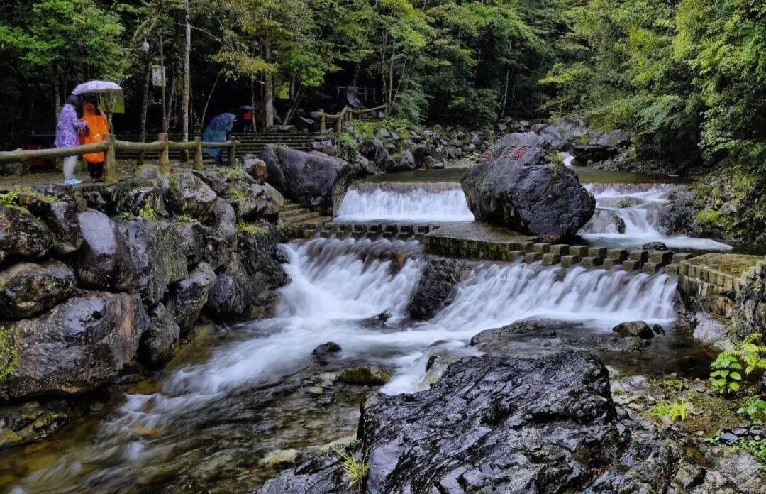 时代面前没有孤岛